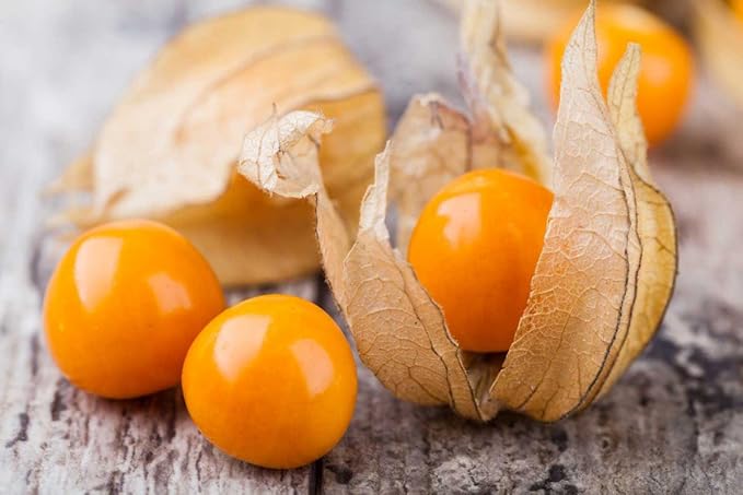 Seeds Ground Cherry (Cape Gooseberry, Goldenberry) Orange Physalis Vegetable for Planting Non GMO