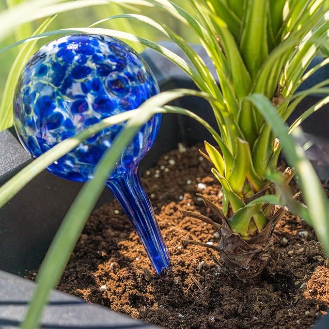 Evelots Plant Watering Globes (3 Pack) - Hand Blown Glass - Automatic Water Irrigation System - Indoor/Outdoor - Leave Your Home Worry Free