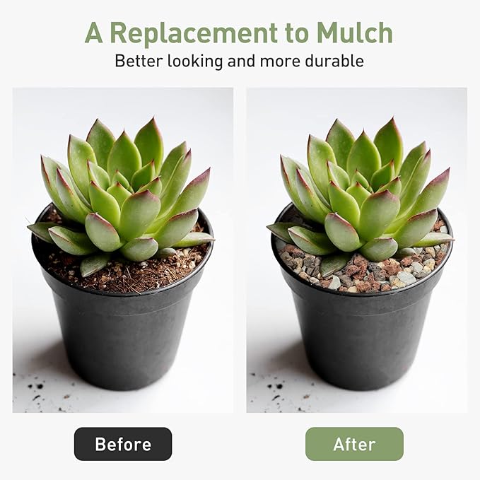 GASPRO 2.5lbs Lava Rocks for Plants, 1/5 Inch Pea Gravel for Succulent, Pots Indoor, Terrarium, Cactus, Bamboo, Bonsai Tree, Top-Dressing, Mixed Color Volcanic Rocks, Good Drainage