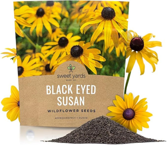 Black Eyed Susan Seeds – Extra Large Packet – Over 100,000 Open Pollinated Non-GMO Wildflower Seeds – Rudbeckia hirta