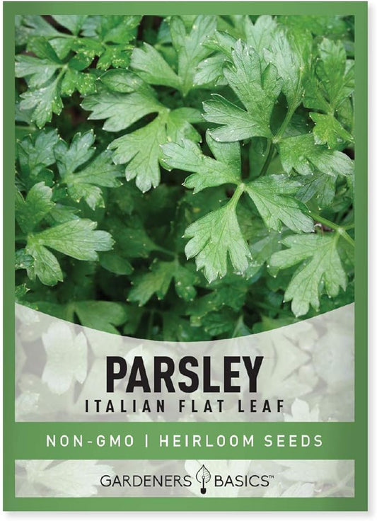 Gardeners Basics, Parsley Seeds for Planting, Italian Flat Leaf is A Heirloom, Open-Pollinated, Non-GMO Herb Variety- Great for Indoor and Outdoor Gardening and Herbal Tea Gardens
