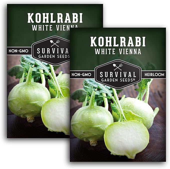 Survival Garden Seeds - White Vienna Kohlrabi Seed for Planting - 2 Packs with Instructions to Plant and Grow Unique Cruciferous Vegetables in Your Home Vegetable Garden - Non-GMO Heirloom Variety