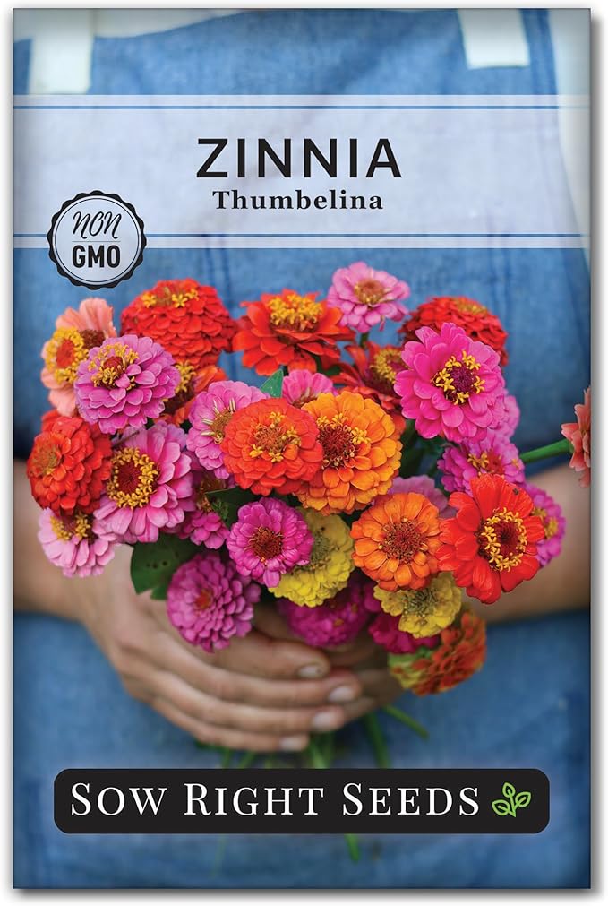 Sow Right Seeds - Thumbelina Zinnia Seeds for Planting - Beautiful to Plant in Your Flower Garden - Non-GMO Heirloom Packet with Instructions - Annual Cut and Come Again for Bouquets (1)