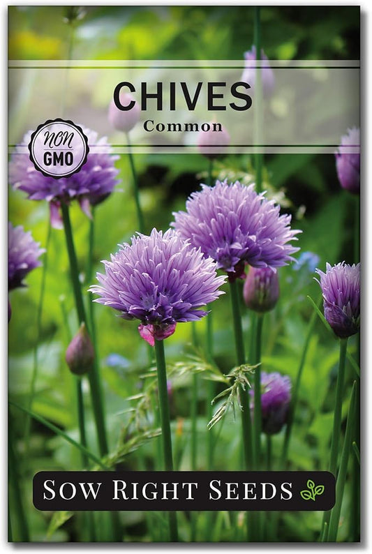 Sow Right Seeds - Common Chives Seed for Planting - Non-GMO Heirloom Packet with Instructions to Plant and Grow Kitchen Herb Garden Indoor or Outdoor - Mild Onion Flavor (1)