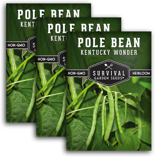 Survival Garden Seeds - Kentucky Wonder Pole Bean Seed for Planting - 3 Packs with Instructions to Plant and Grow Green Snap Beans in Your Home Vegetable Garden - Non-GMO Heirloom Variety