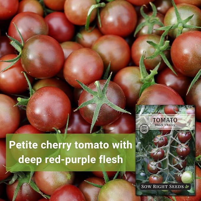 Sow Right Seeds - Black Cherry Tomato Seeds for Planting - Non-GMO Heirloom Packet with Instructions to Plant a Home Vegetable Garden - Tasty Snacking Variety, Start Indoors - Indeterminate (1)
