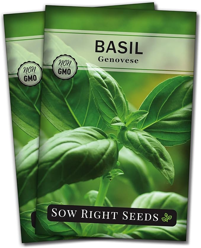 Sow Right Seeds - Genovese Sweet Basil Seed for Planting - Non-GMO Heirloom Packet with Instructions to Plant and Grow a Kitchen Herb Garden - Indoors or Outdoor - Great for Hydroponic Gardening (2)