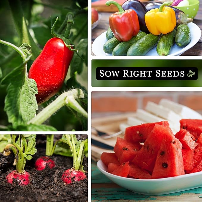 Sow Right Seeds - Classic Vegetable Garden Seed Collection for Planting - Non-GMO Heirloom Broccoli, Cabbage, Carrot, Cucumber, Eggplant, Kale, Lettuce, Tomato, Peppers, Zucchini, and More