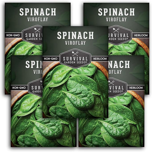 Survival Garden Seeds - Viroflay Spinach Seed for Planting - Packet with Instructions to Plant and Grow Nutritious Leafy Greens in Your Home Vegetable Garden - Non-GMO Heirloom Variety - 5 Pack