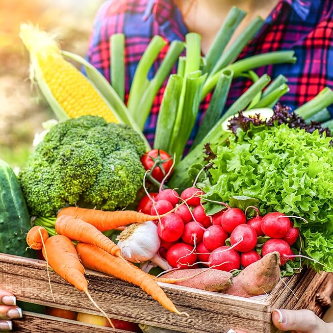 32 Varieties Vegetable Seeds for Planting, 8,600+ Heirloom Seeds Gift Pack, Non-GMO Veggies Seed Garden Kit for Indoor Outdoor Growing, Home Fresh Food Vegetable Supply