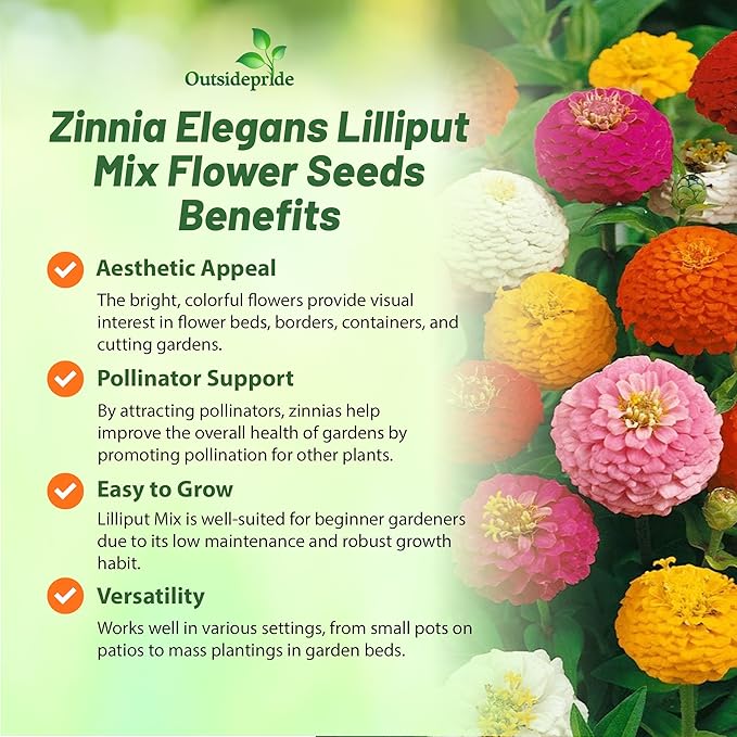 Outsidepride Zinnia Seeds - 1 Lb. Annual Blend of Hardy Compact Mixed Color Ball-Shaped Blooms for Planting in Outdoor Containers, Borders, Flower Beds, Cutting Gardens & Pollinator-Friendly Spaces