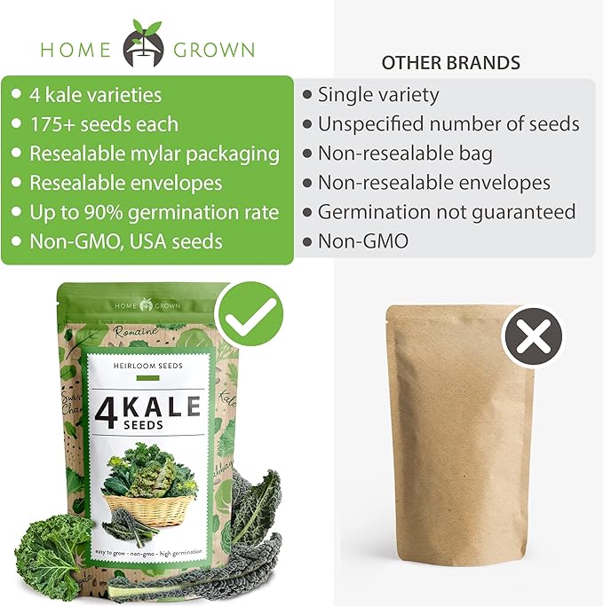 HOME GROWN 700+ Kale Seeds for Planting Outdoors or Hydroponics - Heirloom Leafy Greens Seeds 4 Variety Pack: Non-GMO Lacinato (Tuscan/Dino Kale), Blue Scotch, Dwarf Siberian, Red Russian Kale