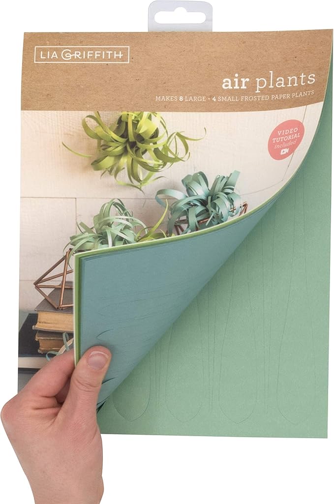 Lia Griffith Frosted Paper Flowers Air Plants, 8.5" x 11", Colors May Vary 20 Count