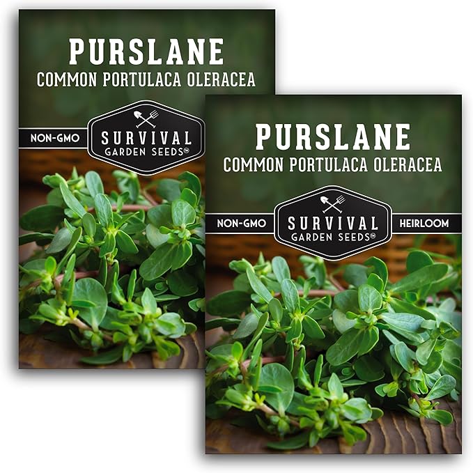 Common Purslane Seed for Planting - 2 Packets with Instructions to Plant and Grow Green Portulaca Oleracea in Your Home Vegetable Garden - Non-GMO Heirloom Variety - Survival Garden Seeds