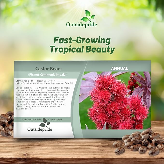 Outsidepride 100 Seeds Annual Ricinus Communis Castor Bean Impala Flower Seeds for Planting
