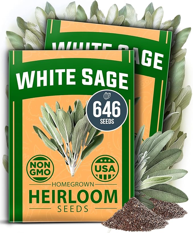 HOME GROWN White Sage Seeds 646 Pack 𝗡𝗢𝗡-𝗚𝗠𝗢, 𝗨𝗦𝗔-𝗦𝗢𝗨𝗥𝗖𝗘𝗗 Heirloom Seeds - Grow Aromatic Sage Plants for Your Herb Seeds Garden with Sage for Planting Outdoor or Indoor (Salvia apiana)