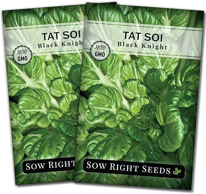 Sow Right Seeds - Black Knight Tat SOI Seeds for Planting - Non-GMO Heirloom Packet with Instructions to Plant a Home Vegetable Garden - Chinese Mustard Greens for Cooking - Dark Leafy Green (2)