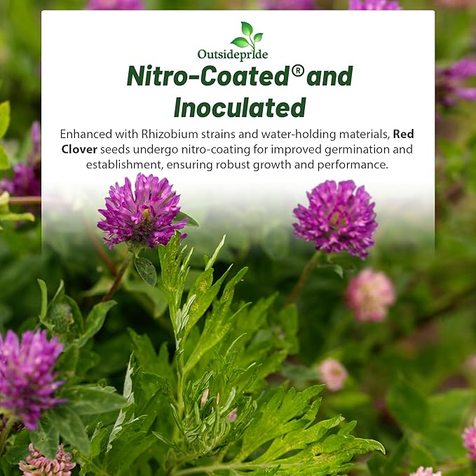 Outsidepride Perennial Red Clover Seeds - 5 lbs. Self-Seeding, Nitrocoated, Inoculated Clover Seeds for Lawn, Yard, Forage, Pasture, Hay, Nitrogen Fixation, Soil Improvement & Crop Rotation Programs