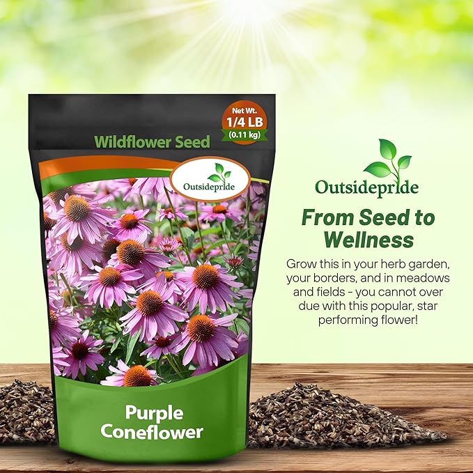 Outsidepride 1/4 lb. Perennial Echinacea Purple Coneflower Wild Flower Seed for Planting
