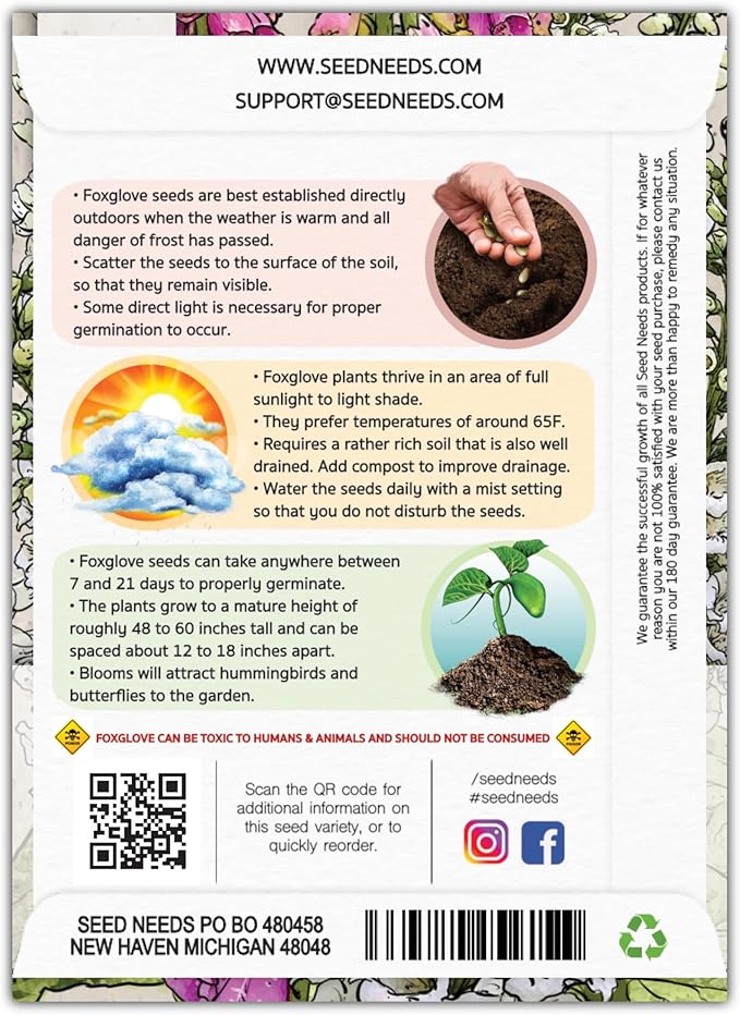 Seed Needs, Mixed Gloxiniaeflora Foxglove Seeds for Planting - Heirloom & Open Pollinated Biennial Flowers - Perfect for Butterfly Gardens & Insectaries (5 Packs)