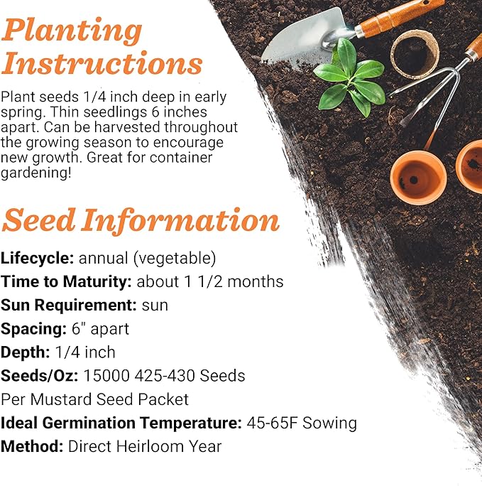 Bentley Seeds with Faith Pre Filled Giant Curled India Seed Packets - 25 Individual Mustard Seed Packs - Ideal for Party Favors - Non-GMO - Eco-Friendly Spring to Fall Gift - Outdoor Garden Seeds