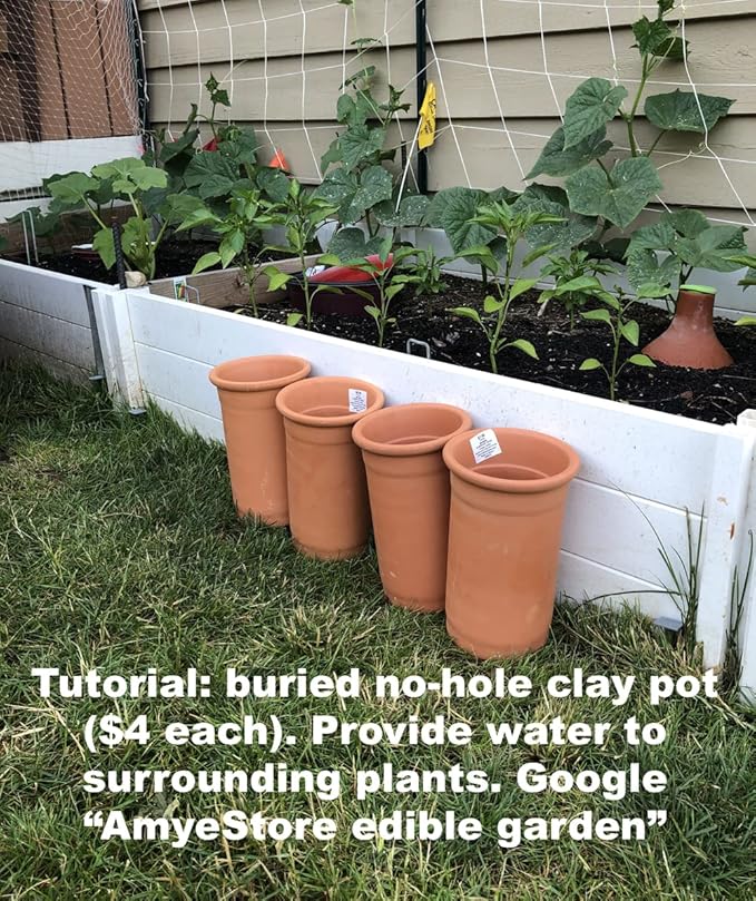 2025 Early Bird-40ct Sweet Pepper Seeds for Planting,Green & Red Bell Pepper Seeds,Non-GMO Heirloom Seeds Vegetable Seeds for Home Vegetable Garden&Hydronic Pods-Veggie Seeds:California Wonder