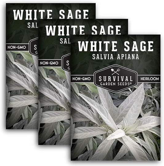 Survival Garden Seeds - 3 Packs White Sage Seed for Planting- Grow Sustainable Smudging Herbs - Packet with Instructions to Plant & Grow in Your Home Garden - Non-GMO Heirloom Variety
