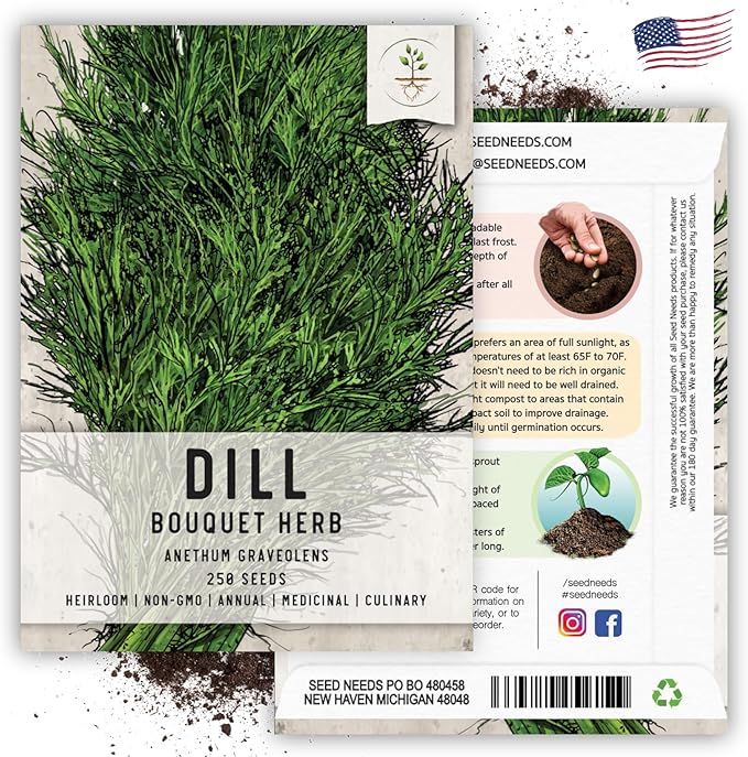 Seed Needs, Bouquet Dill Seeds - 250 Heirloom Seeds for Planting Anethum graveolens - Culinary Herb to Grow Indoors or Outdoors, Non-GMO & Untreated (2 Packs)