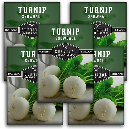 Survival Garden Seeds - Turnip Snowball Seed for Planting - 5 Packs with Instructions to Plant and Grow Root Vegetables and Greens in Your Home Vegetable Garden - Non-GMO Heirloom Variety - Fall Seeds