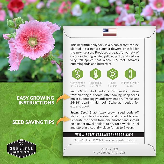 Survival Garden Seeds - Single Mixed Hollyhock Seed for Planting - 2 Packs with Instructions to Plant and Grow Colorful Spikes of Flowers in Your Home Vegetable Garden - Non-GMO Heirloom Variety