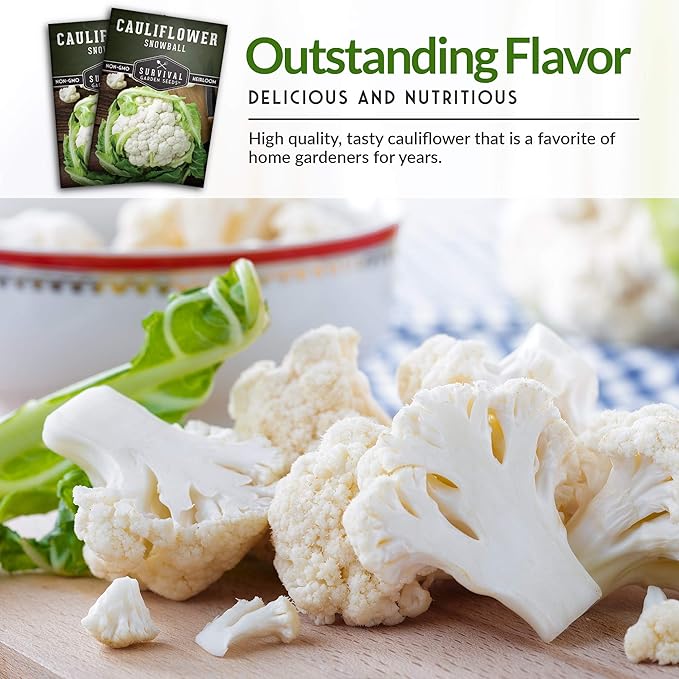 Snowball Cauliflower Seed for Planting - 3 Packets with Instructions to Plant & Grow Amazing White Vegetables in Your Home Vegetable Garden - Non-GMO Heirloom Variety - Survival Garden Seeds