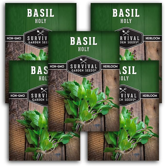 Survival Garden Seeds - Holy Basil Seed for Planting - 5 Packs with Instructions to Plant and Grow The Indian Sacred Herb Tulsi in Your Home Vegetable Garden - Non-GMO Heirloom Variety - Plant Seed