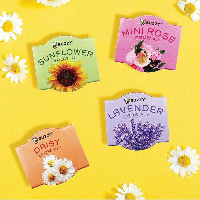 BUZZY Seeds Terracotta Mini Grow Pots | Herb, Plant, Flower Starter Kit for Kids & Adults | Assorted 12-Pack, Bright Series Collection | Guaranteed to Grow | Best Indoor-Outdoor Gardening Gift