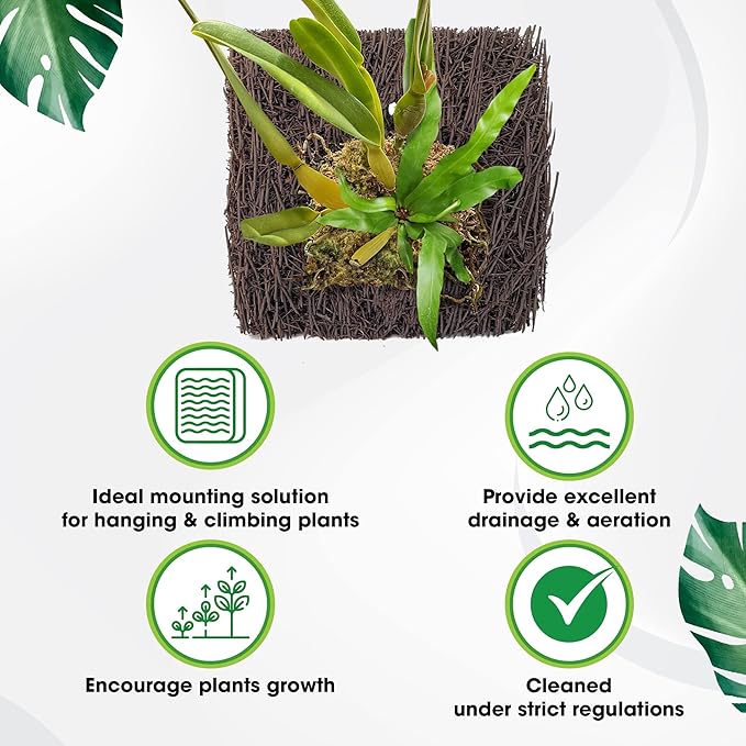 DUSPRO Tree Fern Fiber Board for Orchids, Aroids and Other Climbing Plants, 7.9 inches Staghorn Fern Mount