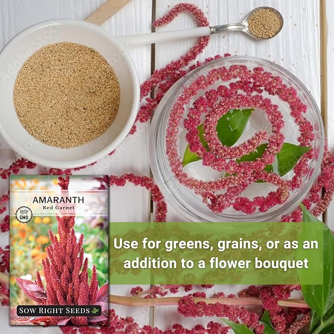Sow Right Seeds - Red Garnet Amaranth Seeds for Planting - Non-GMO Heirloom Packet with Instructions to Plant & Grow an Outdoor Home Vegetable Garden - Colorful & Unique - Trailing Variety (4)
