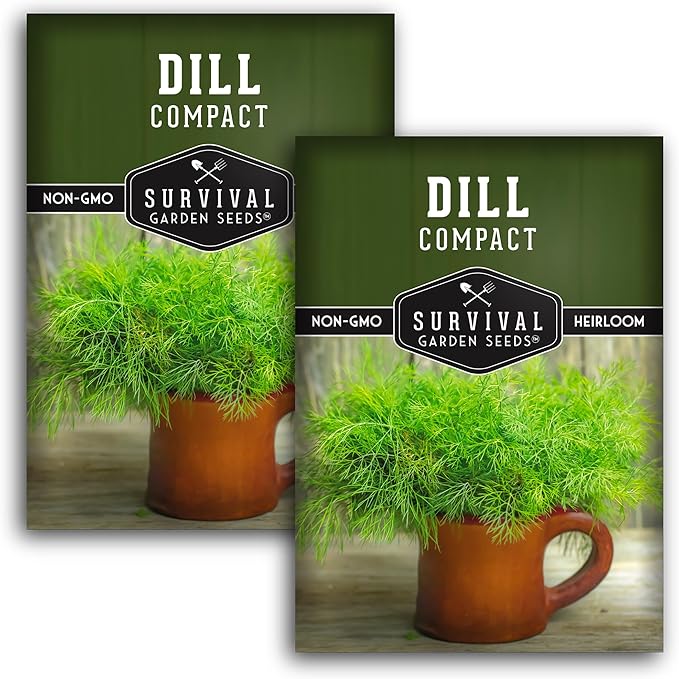 Survival Garden Seeds Compact Dill for Planting - 2 Seed Packets with Instructions to Plant & Grow Container Sized Dwarf Dill Herb Plants in Your Home Garden - Non-GMO Heirloom Variety