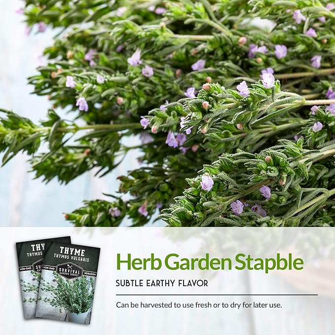 Survival Garden Seeds - Thyme Seed for Planting - 2 Packs with Instructions to Plant and Grow Thymus Vulgaris Herb Plants in Your Home Vegetable Garden - Non-GMO Heirloom Variety