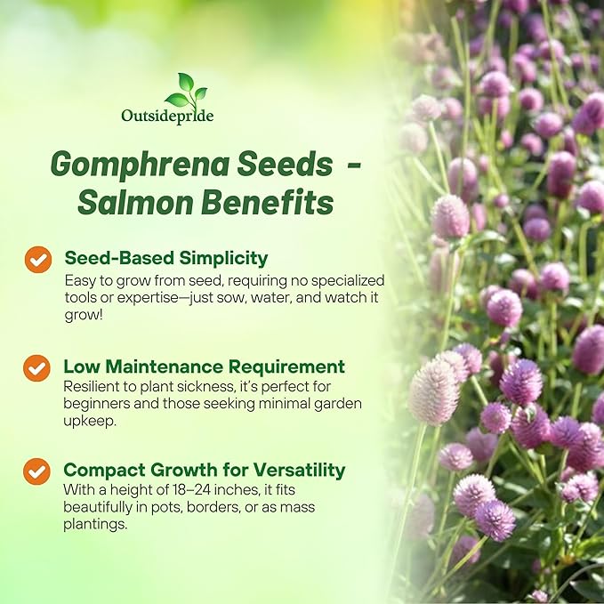 Outsidepride 1000 Seeds Annual Salmon Gomphrena Globosa Flower Seed for Planting
