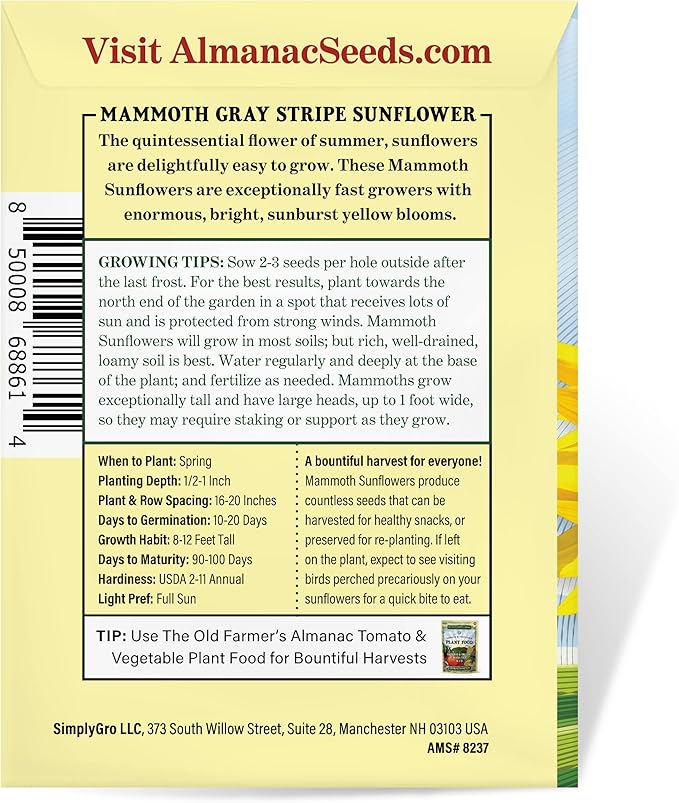 The Old Farmer's Almanac Sunflower Seeds (Mammoth Gray Stripe) - Approx 80 Flower Seeds - Premium Non-GMO, Open Pollinated, USA Origin
