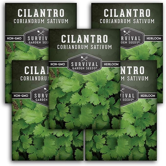 Survival Garden Seeds - Cilantro Seed for Planting - Packet with Instructions to Plant and Grow Coriandrum Sativum in Your Home Vegetable Garden - Non-GMO Heirloom Variety - 5 Packs