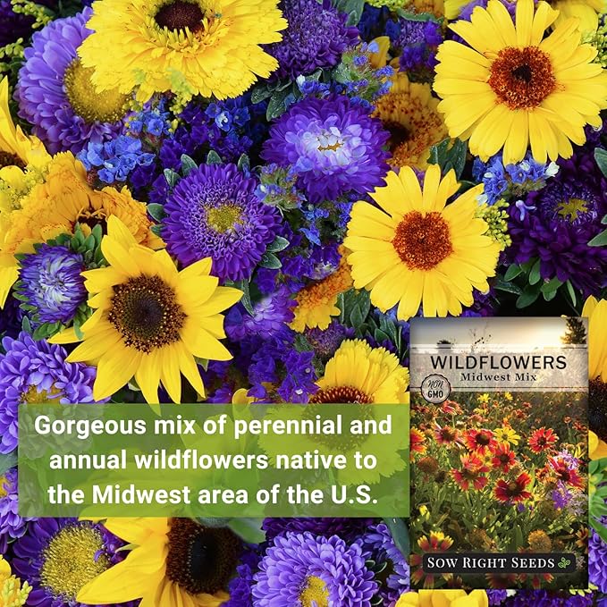 Sow Right Seeds - Wildflowers Seeds Mix for Planting in Midwest - Non-GMO Heirloom Varieties to Grow a Wild Flower Garden - Perennial and Annual Flowers to Attract Pollinators - Colorful Blooms (1)