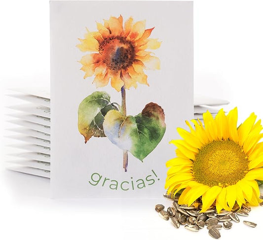 Bentley Thank You Packet - Gracias, Mammoth Sunflower - 25 Packets - Perfect Thank You Gift, Spanish - Non GMO Seeds