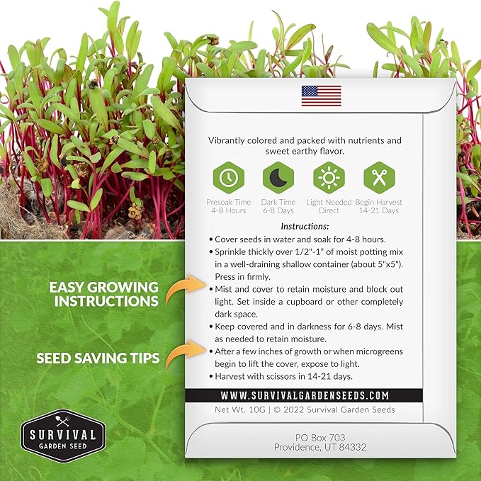 3 Packs Beet Microgreens Seeds for Sprouting and Growing - Sprout Green Leafy Micro Vegetable Plants Indoors - Grow Your Own Mini Windowsill Garden - Non-GMO Heirloom - Survival Garden Seeds