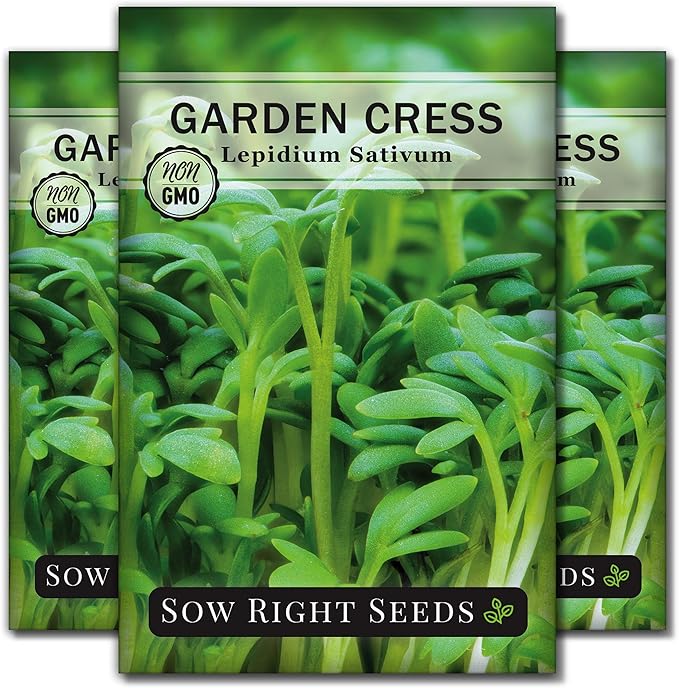 Sow Right Seeds - Garden Cress Seeds for Planting - Non-GMO Heirloom Packet with Instructions to Plant and Grow a Kitchen Herb Garden - Indoors or Outdoors - Edible Leaves and Cute Filler (3)