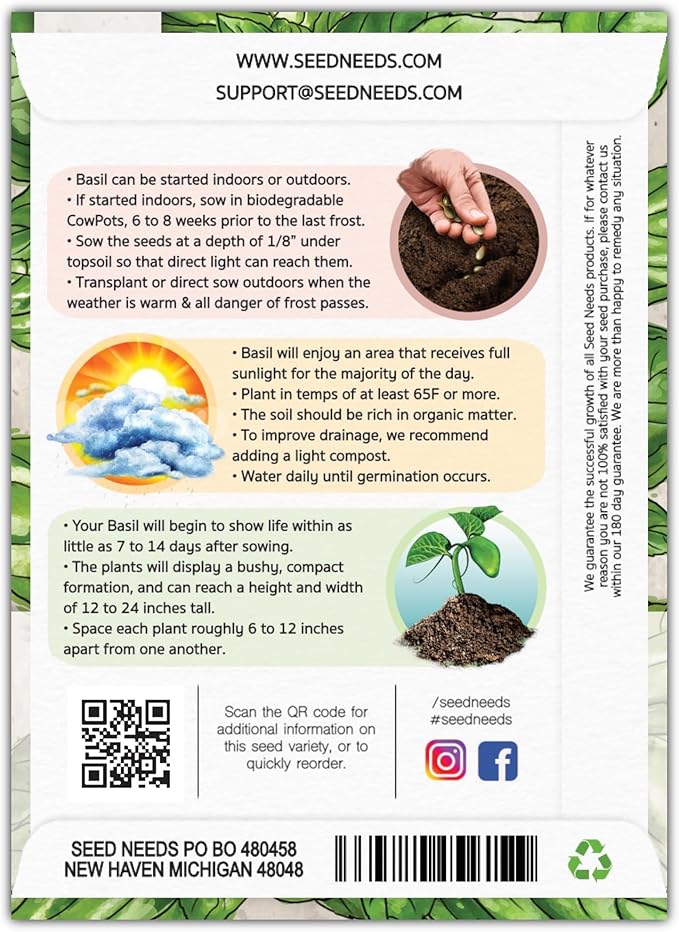 Seed Needs Italian Large Leaf Basil Seeds for Planting - Non-GMO, Heirloom & Untreated - Organically Grow an Indoor or Outdoor Home Grown Herb Garden (2 Packs)