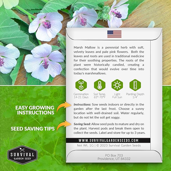 Marsh Mallow Seed for Planting - 5 Packets with Instructions to Plant and Grow Rare Medicinal Flowering Herbs in Your Home Vegetable Garden - Non-GMO Heirloom Variety - Survival Garden Seeds