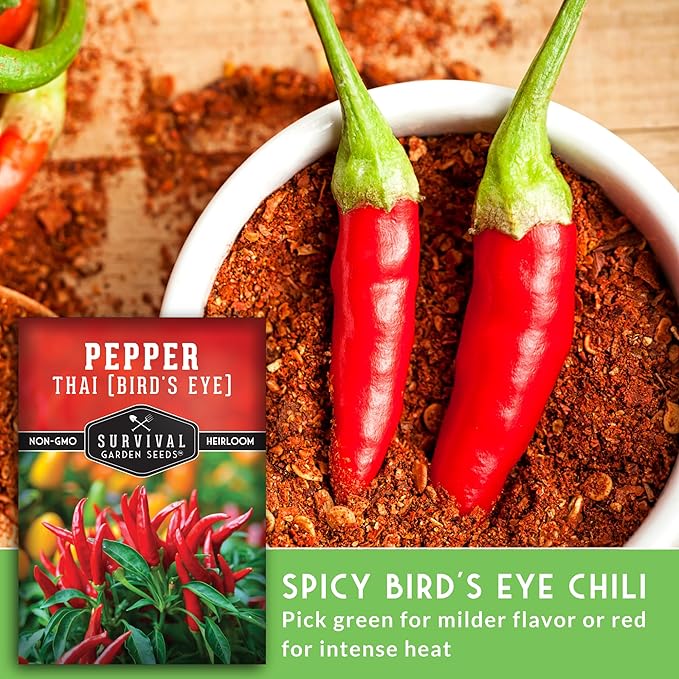 Survival Garden Seeds - Thai Pepper Seed for Planting - 2 Packets with Instructions to Plant & Grow Spicy Hot Bird's Eye Chili Peppers in Your Home Vegetable Garden - Non-GMO Heirloom Variety