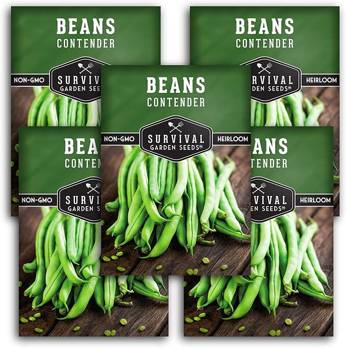 5 Packs Contender Bush Bean Seed for Planting with Instructions to Grow Delicious & Stringless Green Beans in Your Home Vegetable Garden - Non-GMO Heirloom - Survival Garden Seeds