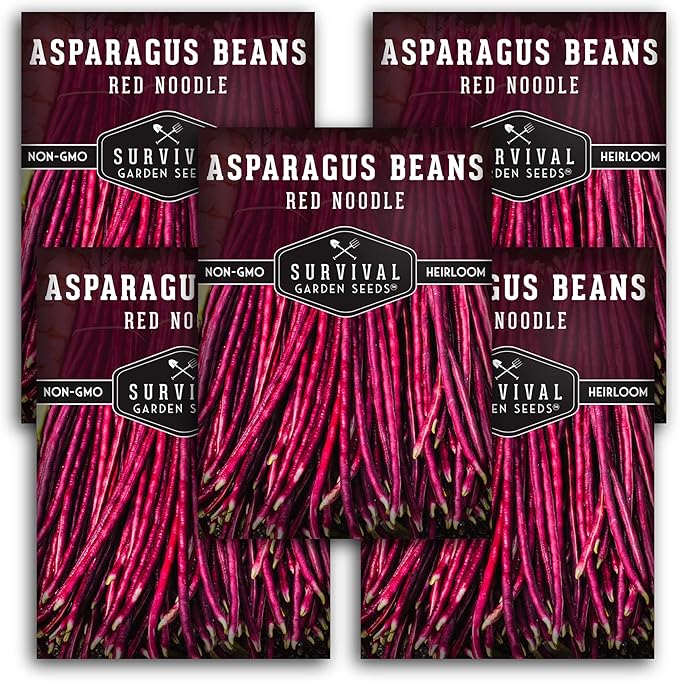 Survival Garden Seeds - Red Noodle Asparagus Bean Seed for Planting - 5 Packs with Instructions to Plant and Extremely Long Stringless Beans in Your Home Vegetable Garden - Non-GMO Heirloom Variety