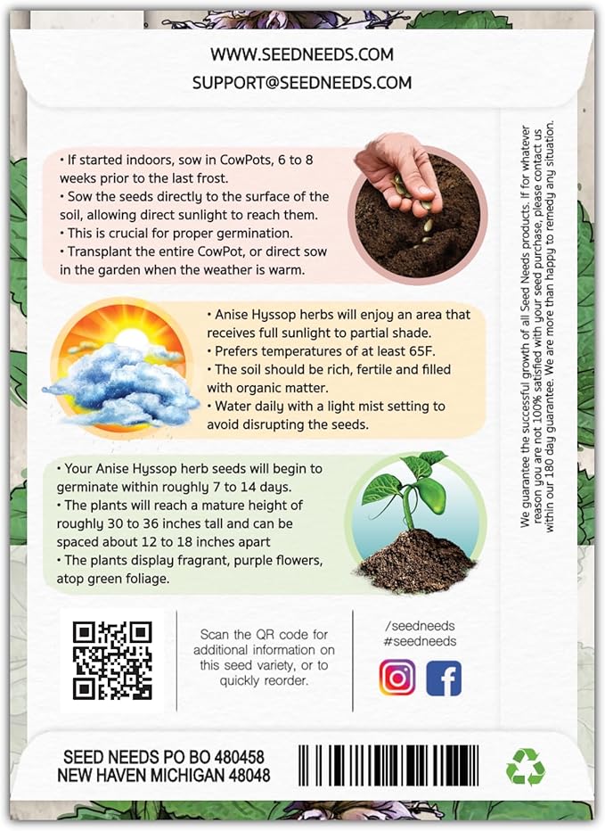 Seed Needs Anise Hyssop Seeds for Planting - Non-GMO, Heirloom & Untreated - Organically Grow a Medicinal/Culinary Herb Garden for Tea & Essential Oils (5 Packs)